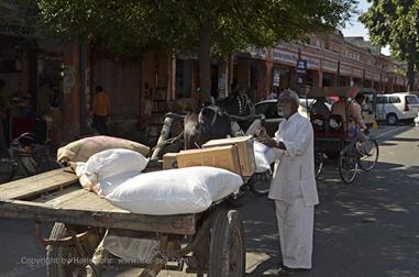08 Ricksha-Sightseeing,_Jaipur_DSC5224_b_H600